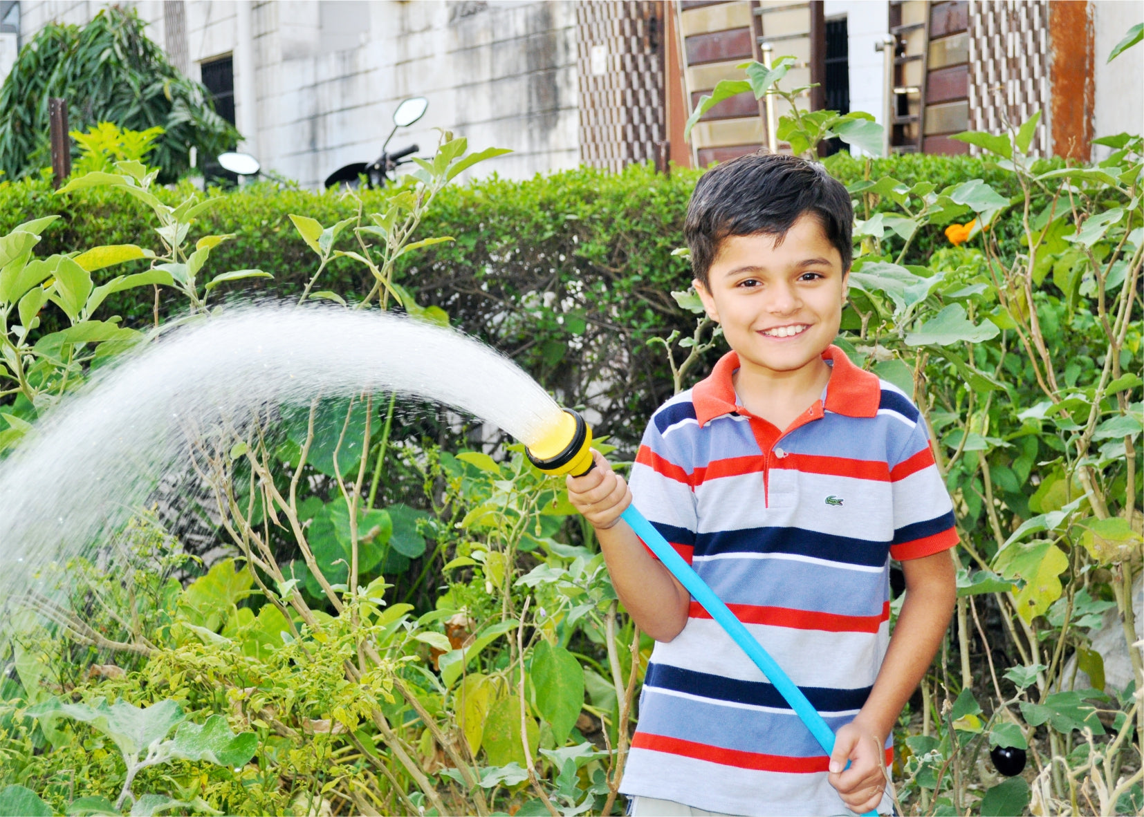 GARUD PREMIUM Garden Hose Water Pipe 0.5" 15 Meter 50 ft